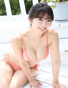 日本警察手帐