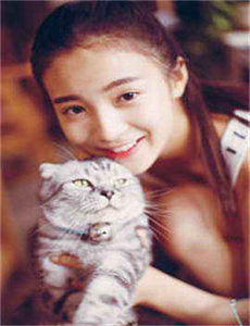猫耳伴游妹